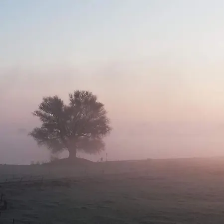 The Ferryman's Vrijgelegen Aan De Waal Varik