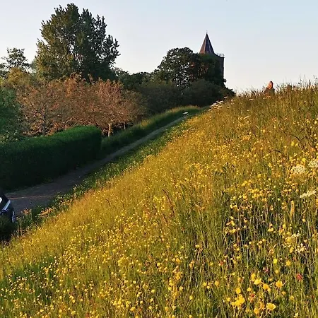 The Ferryman's Vrijgelegen Aan De Waal Varik