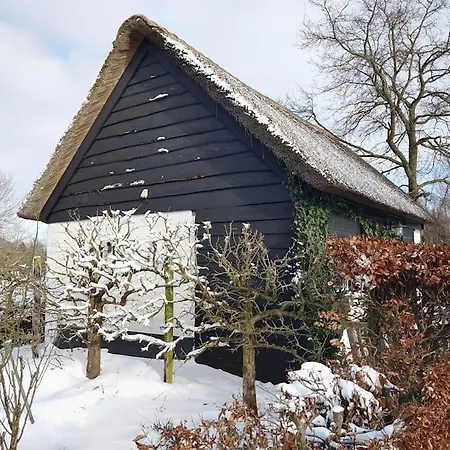The Ferryman's Vrijgelegen Aan De Waal Ferienhaus
