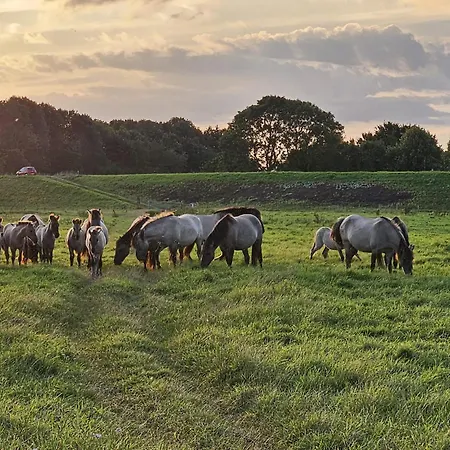 度假居 The Ferryman's Vrijgelegen Aan De Waal *