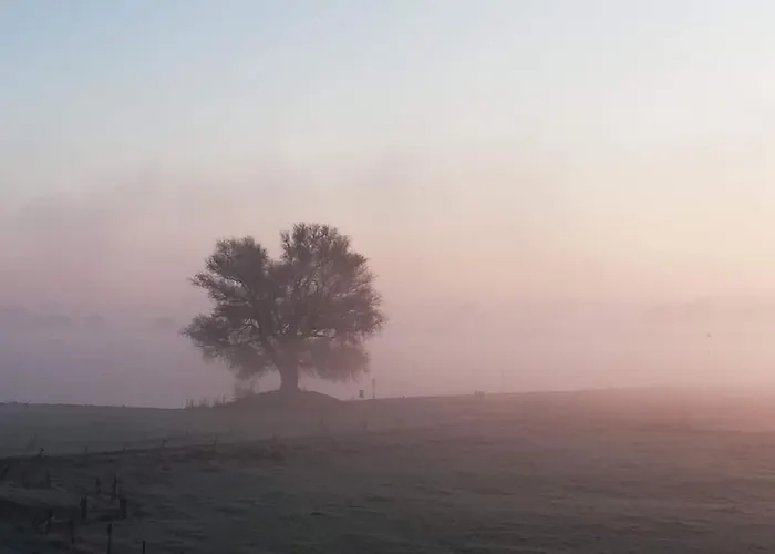 The Ferryman's Vrijgelegen Aan De Waal Varik