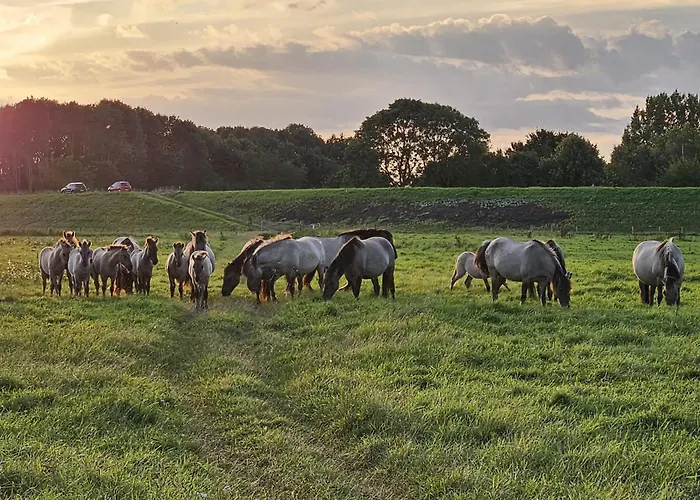 度假居 The Ferryman's Vrijgelegen Aan De Waal *